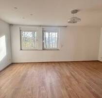 Nähe Dutzendteich ! Moderne renovierte 2-ZW 64 m², neue EBK, im Erdgeschoss - Nürnberg