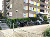 Bild 11 - 