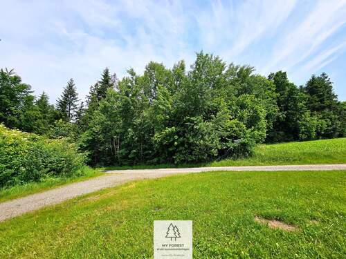 20250610_124803.jpg - 