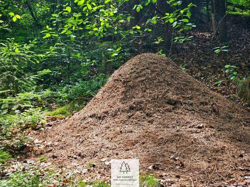 20250610_130607.jpg - 