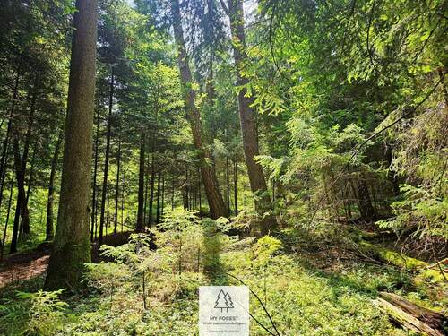 20250610_124322.jpg - 