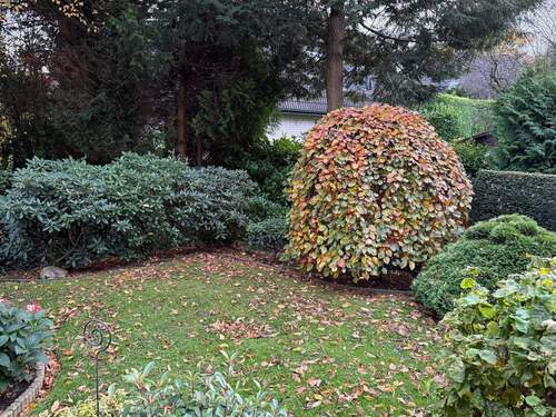 Schöner Garten.jpeg - 