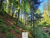 waldverkauf-hoechenschwand_11.jpg - 