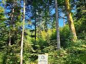 waldverkauf-hoechenschwand_12.jpg - 