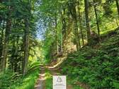 waldverkauf-hoechenschwand_02.jpg - Grundstück zum Kaufen in Höchenschwand