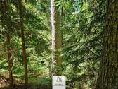 waldverkauf-hoechenschwand_04.jpg - Grundstück in Höchenschwand zum Kaufen