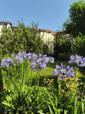 Garten - 3 Zimmer Etagenwohnung zur Miete in Görlitz
