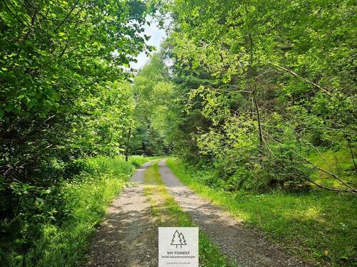 20250610_130343.jpg - 