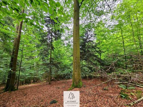 20250610_165338.jpg - 