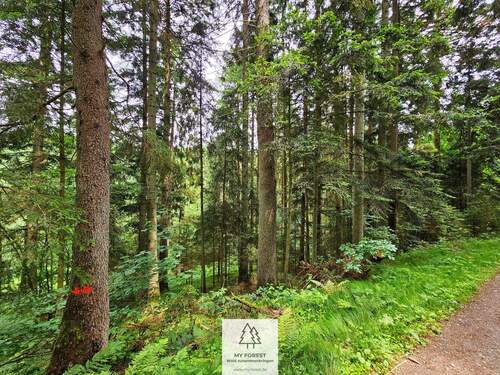 20250610_131950.jpg - 