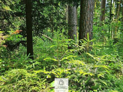 20250610_123648.jpg - 