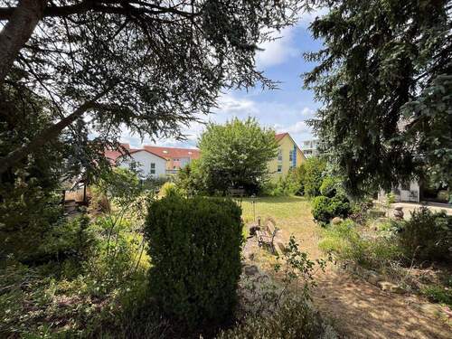 Gartenimpressionen - 