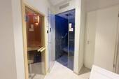 Saune und Regendusche mit Dampffunktion - 