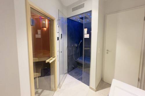 Saune und Regendusche mit Dampffunktion - 