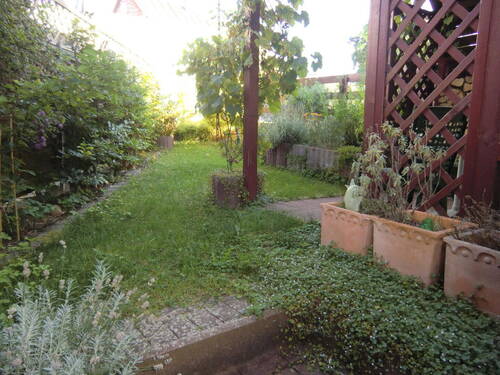 Garten vom Haus her gesehen - 4 Zimmer Einfamilienhaus in Ebsdorfergrund-Dreihausen