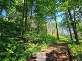 waldverkauf-krumbach_11.jpg - 