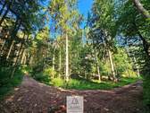waldverkauf-krumbach_13.jpg - 