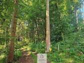 waldverkauf-krumbach_14.jpg - 
