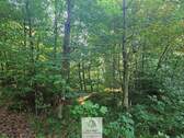 waldverkauf-krumbach_17.jpg - 