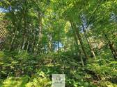 waldverkauf-krumbach_03.jpg - Grundstück in Ursberg