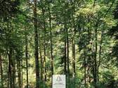 waldverkauf-hoechenschwand_05.jpg - 