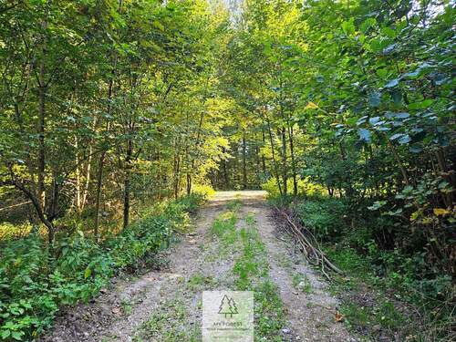 waldverkauf-ingolstadt_32.jpg - 