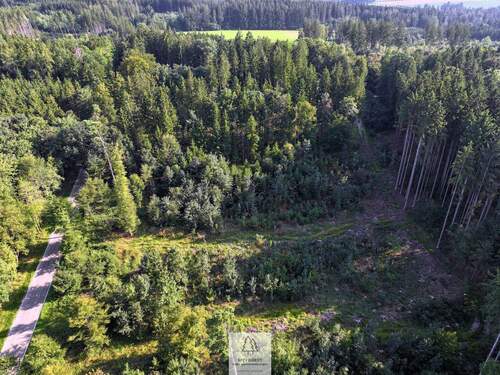 waldverkauf-ingolstadt_37.jpg - 