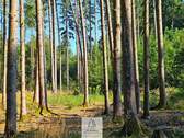 waldverkauf-ingolstadt_15.jpg - Grundstück in Böhmfeld