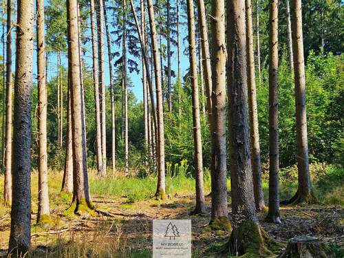 waldverkauf-ingolstadt_15.jpg - Grundstück in Böhmfeld