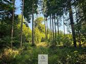 waldverkauf-ingolstadt.jpg - Grundstück in Böhmfeld zum Kaufen