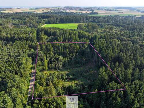 waldverkauf-ingolstadt_07.jpg - 