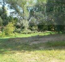 *Großzügiges Grundstück in Buschdorf zu verkaufen*! - Zechin Buschdorf