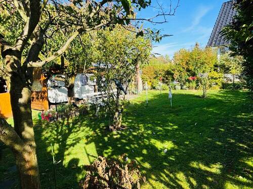 Blick in den Garten - 