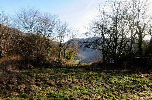 416373552_1081801192941142_7996024488398743743_n.j - 