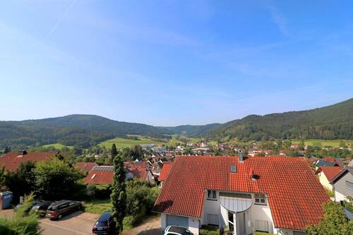 Fernblick - 