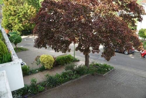 Blick Balkon vorne - 