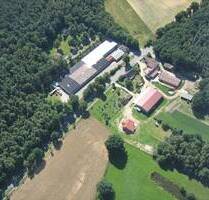 Lagerhalle oder Produktionshalle direkt an der Bundesstraße - Dannenberg (Elbe) Riskau