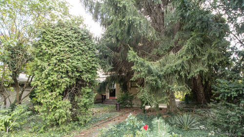 Garten (Seerosensteig) (7).jpg - 