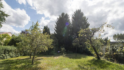 Garten (Seerosensteig) (8).jpg - 