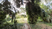 Garten (Seerosensteig).jpg - 