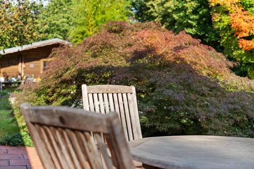 Terrasse - 