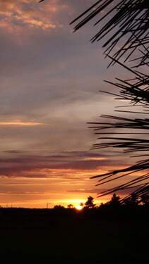 Ausblick zum Abend - 