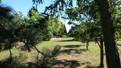 Teilansicht hinterer Garten - 