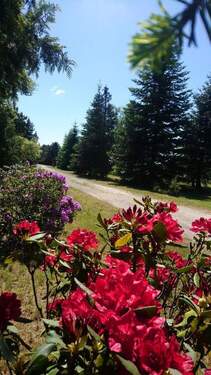 Grundstück-blühende Oase - Einfamilienhaus mit 167,00 m&sup2; in Gablenz zum Kaufen