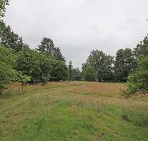 Großzügiges Grundstück mit Nähe zu Dannenberg - Dannenberg (Elbe) Streetz