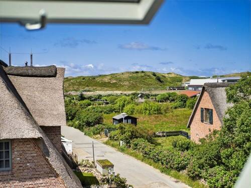 Blick Richtung Dünen - 