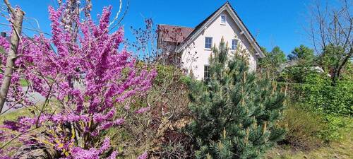 Hausansicht - 