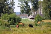 Mönkebude -Idylle im Fischerdorf - 