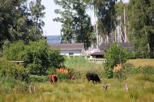 Mönkebude -Idylle im Fischerdorf - 