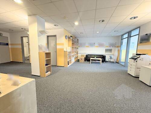 Großzügiger Empfangsbereich - 4 Zimmer Büro zur Miete in Henstedt-Ulzburg